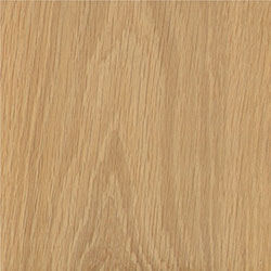 americanwhiteoak